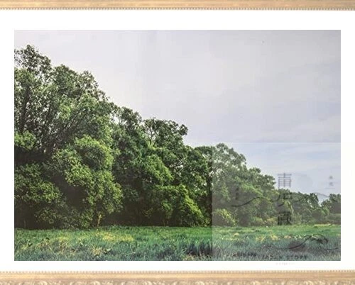 HAKONIWA GIKEN DIORAMA Sheet eL Forest 01 594 x 420mm DSeL-FOREST-01 ...