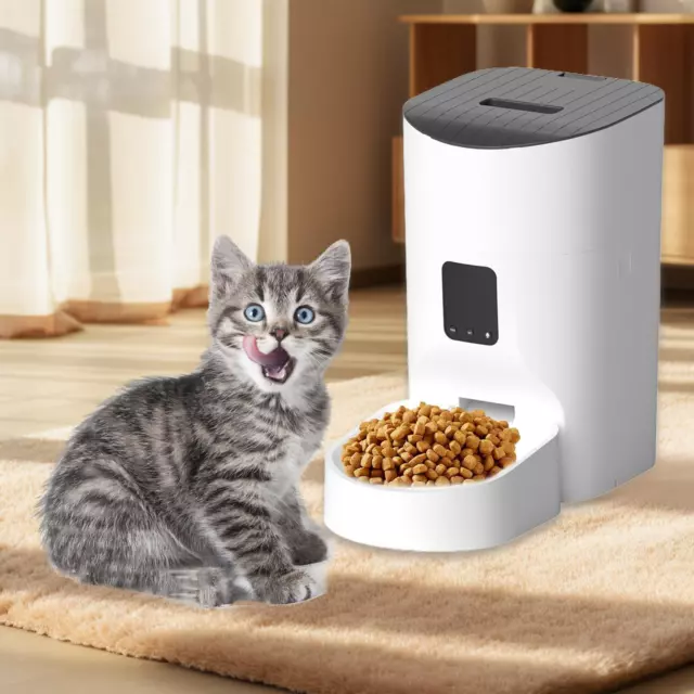 Distributeur de nourriture pour chat App mangeoire automatique pour chien