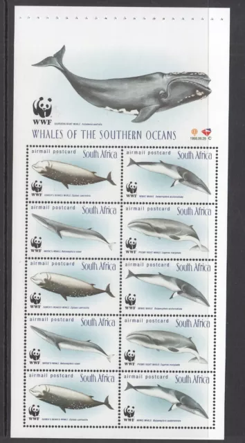 South Africa: Endangered Species: Whales of Southern Ocean,umm booklet page,1998