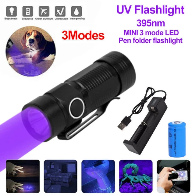 MINI LED FLASHLIGHT Red Green White UV Light Pen 395nm Portable Torch EUR 7,10 - PicClick FR