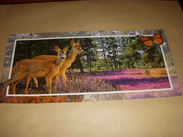 CP CARTE POSTALE Gd FORMAT La FRANCE en PANORAMA En FORET Les DAIMS - ECRITE