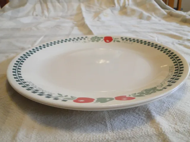 Set of 2 Corning Corelle FARM FRESH Pattern 10¼" Dinner Plates 3