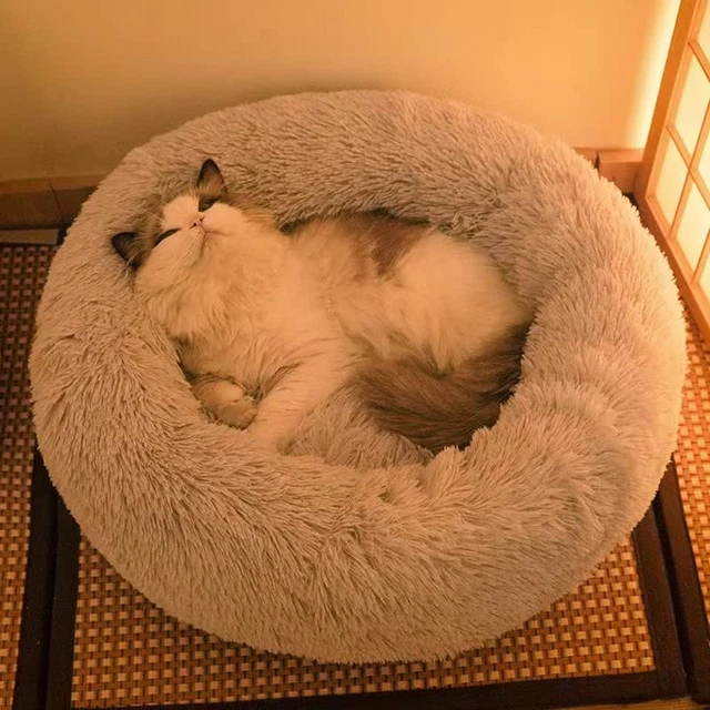 Cat Beds for Indoor Cats, Cat Bed/Small Dog Beds for Small Dogs, 24'' Washable D
