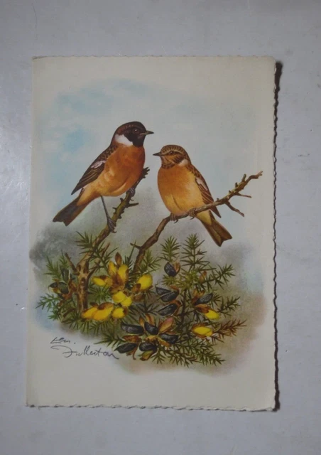 Vintage Greetings Card 2 Birds Perched On Bush From Original Watercolour Gc