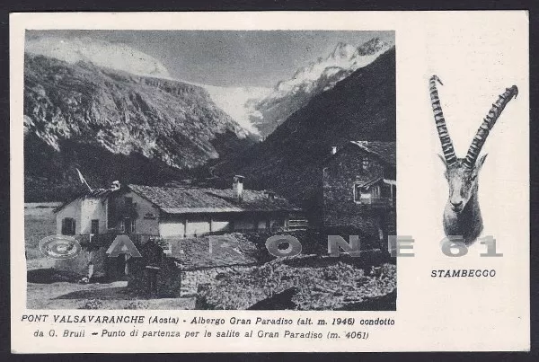 AOSTA VALSAVARENCHE 10 VALSAVARANCHE - PONT - ALBERGO - STAMBECCO Cartolina 1936