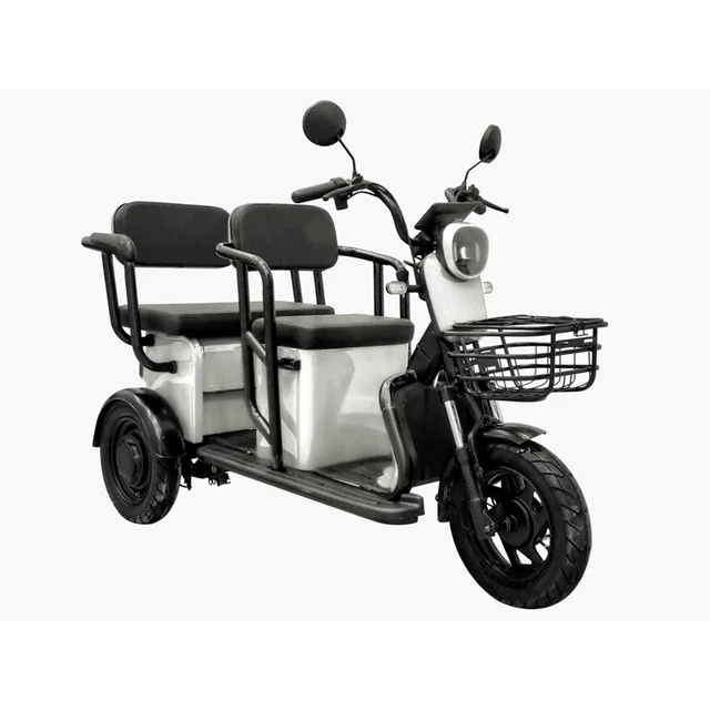 SENIORENFAHRZEUG ELEKTRO SCOOTER Trike Dreirad Seniorenmobil 3 Rad 25 ...