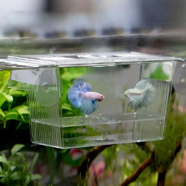 Aquarium Fish Tank Transparent Acrylic Breeding Isolation Box Hatchery Incubator