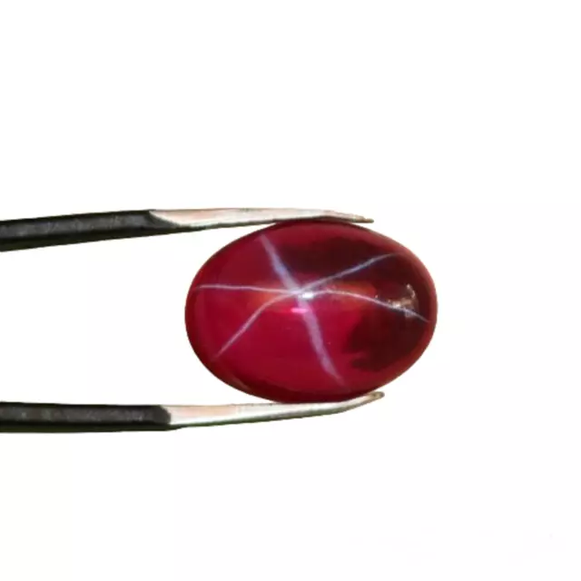 07.50 Ct.Natural 6 Rays Red Star Ruby  Oval 10x12x05 mm Cabochon Loose Gemstone