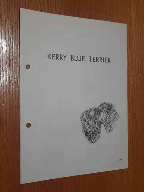 Kerry Blue Terrier Breed Supplement RAS Kennel Control Sporting Terriers Group 2