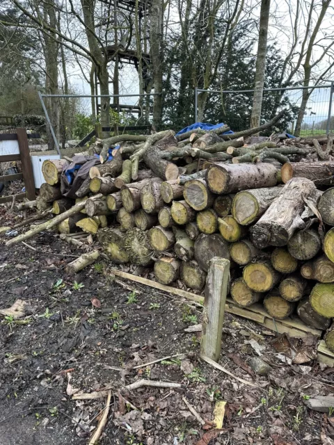 logs for sale large and small amounts seasoned and unseasoned