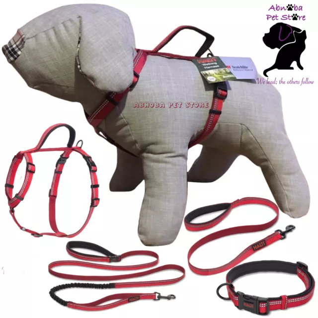 The Company of Animals Dog Halti Lead, Harness, Collar All in one lead All Sizes