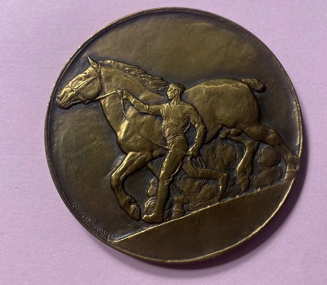Jalisko - Société d'Équitation de Paris - Ecole d'équitation, cheval et