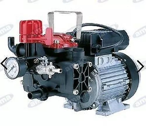 Pompe Électrique Ar 252EM Avec Moteur Monophase pour Pulvérisation 34164