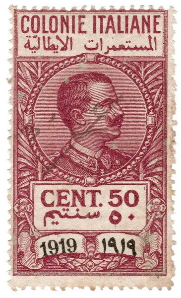 (I.B) Italy (Libya) Revenue : Duty Stamp 50c (1919)