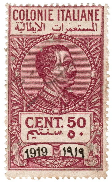 (I.B) Italy (Libya) Revenue : Duty Stamp 50c (1919)