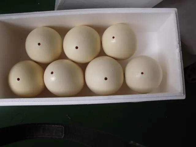 Ostrich egg shells