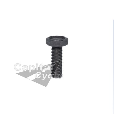 Pop-Out Side Window Stainless Steel Screws Air Cooled Volkswagen VW Beetle Bug e