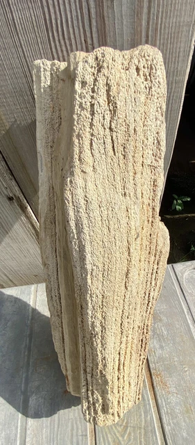 IMPRESSIVE* 29.11 Lb Petrified Fossil Wood Log Covered In Large Druzy-Over 20” L 2