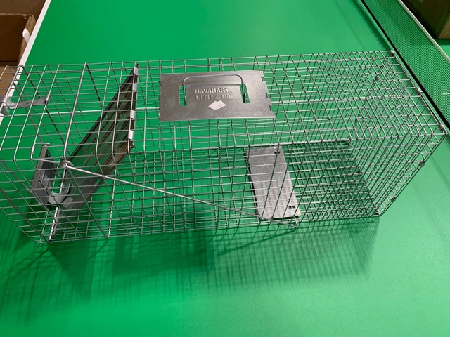32" Humane Animal Trap Steel Cage for Live Rodent Control Rat Squirrel Raccon