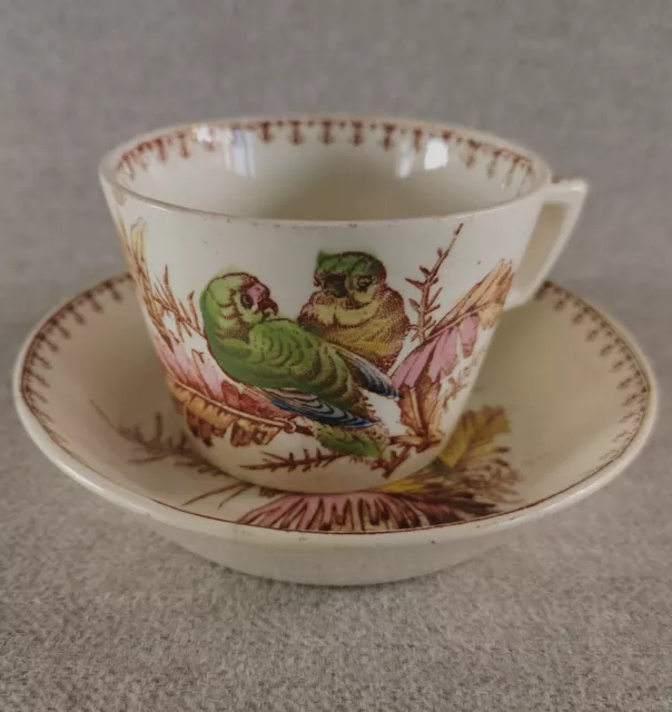 Magnifique Tasse En Faience De Lunéville Modèle " Perruche " (3/6)