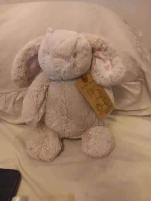 NEXT My Best Friend bunny soft toy plush beige floral pink ears Bnwt 2