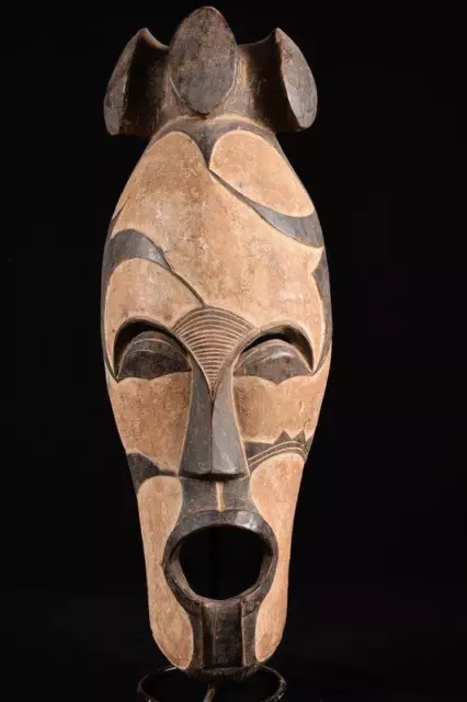 55239 African Old Fang Mask / Mask Gabon