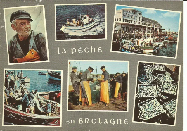 La PÊCHE en BRETAGNE / Chalutiers, Port, Criée, Pêche, Marin