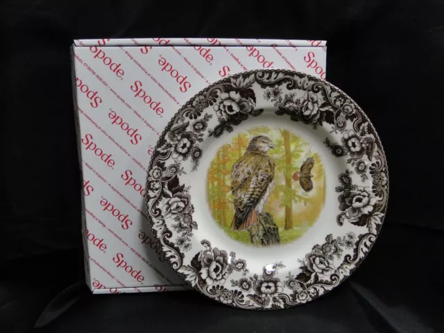 Spode Woodland Birds of Prey Autumn Red Tail Hawk: Dinner Plate 10 1/2", Box