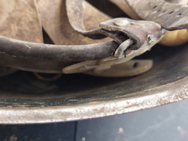 Sammlerauflösung an Stahlhelmen Helm Militaria WK Weltkrieg Helm 14 von 15 16