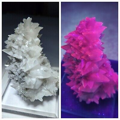 ***SWEET-Pink Fluorescent Dogtooth Calcite crystals on matrix, mine Mexico***