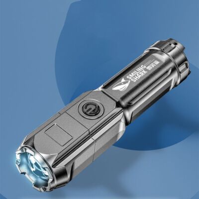 Coleman Torcia LED potenza 200 lumen raggio 200 metri codice 2000024454 marca COLEMAN 