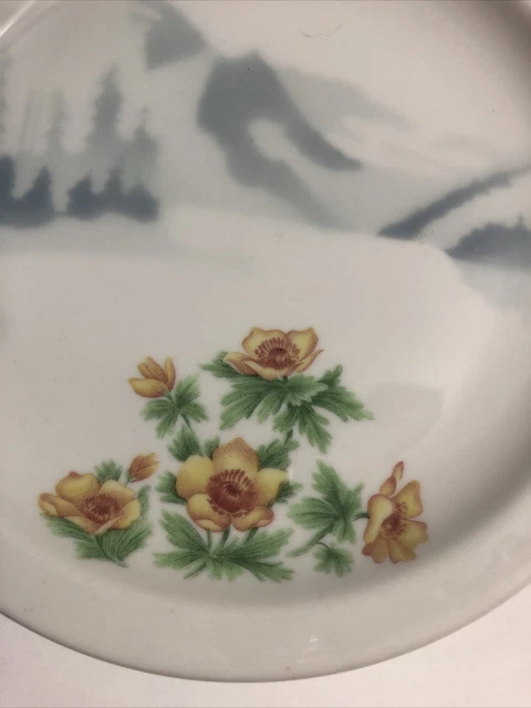 SYRACUSE Great Northern Railroad Mountains & Flowers Pattern Round Plate 2