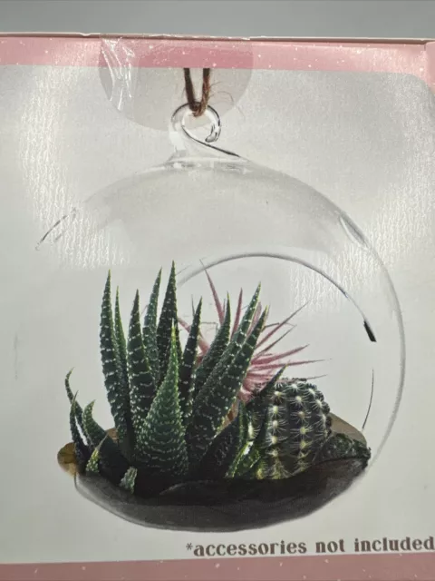 LOT OF 3-Hanging Glass Air Plant Terrarium Planter for Mini Greenhouse Garden
