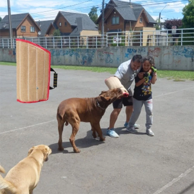 Maniglia cane morso cuscino cane manica morso cane addestramento manica braccio copertura protettiva