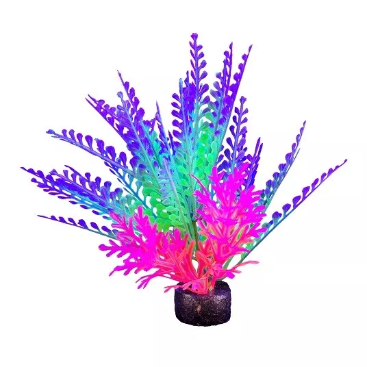 MARINA iGlo PLANT - 5.5 INCH - PP1018