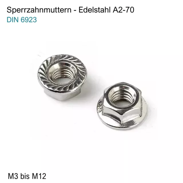 Sperrzahnmutter Edelstahl M3 M4 M5 M6 M8 M10 M12 DIN 6923 Flanschmutter