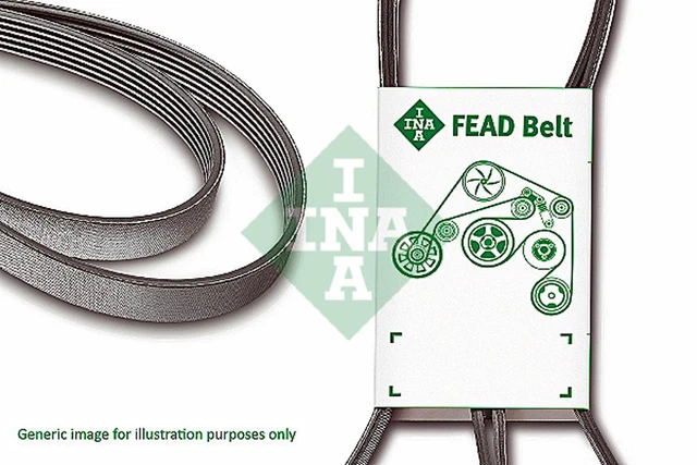 Cinghia trapezoidale INA FB 6EPK1019 per Mazda Ford Fiesta 6 CB1 CCN FOCUS 3 torneo
