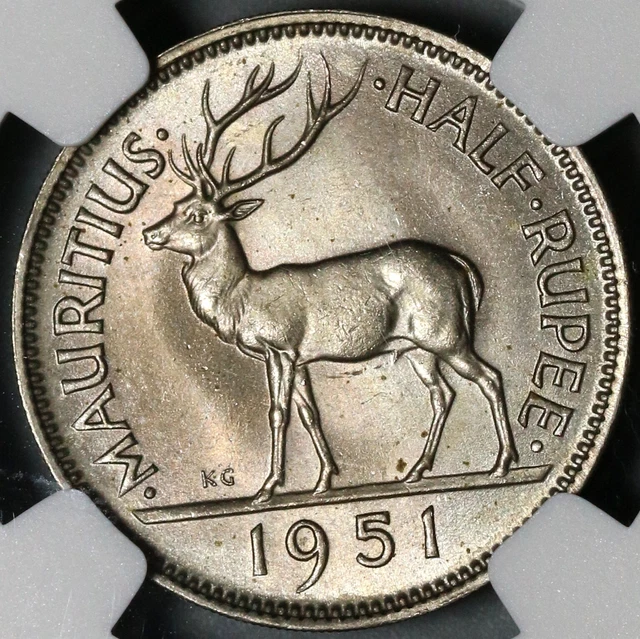 1951 NGC MS 64 Mauritius George VI 1/2 Rupee Stag Britain Empire Coin (21052302C