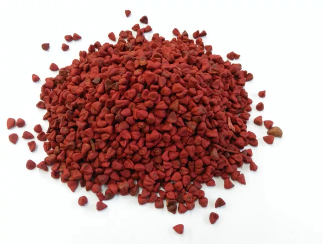 Annatto (Achiote) Whole Dried Seed A Grade Premium Quality Free UK P&P