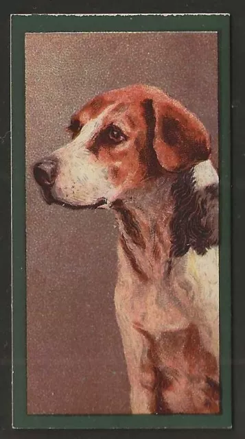 Taddy-Dogs 1900-#33- Foxhound