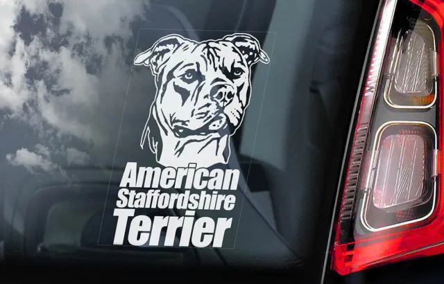AMERICAN STAFFORDSHIRE TERRIER Car Sticker, Dog Window Sign Decal Gift Pet - V02