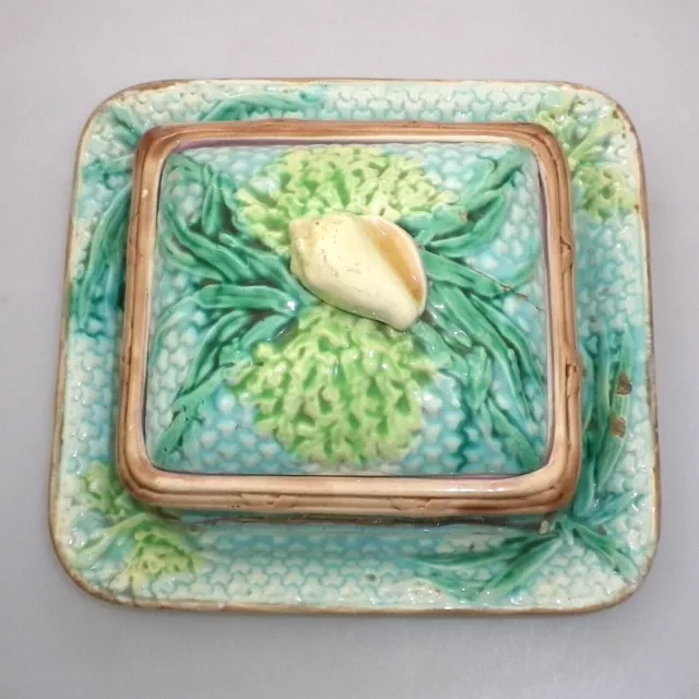 Antique English Majolica Sardine Dish with Shell Finial
