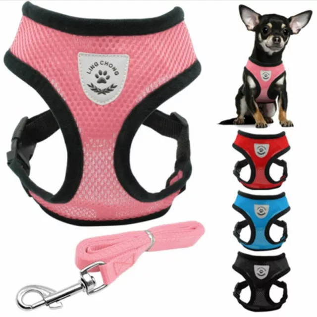 Dog Pet Adjustable Harness and Leash Set pet harness straps For Small ~m'