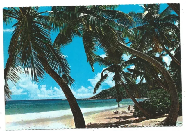 SEYCHELLES - ANSE INTENDANCE, MAHE Photo Eden Postcard