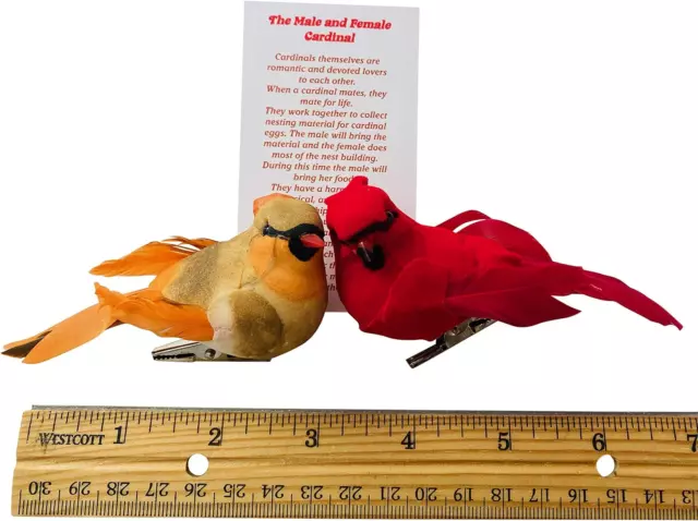 Cardinal Decor Set with Clip Male and Female Love Bird Cardinals with Story Card 3