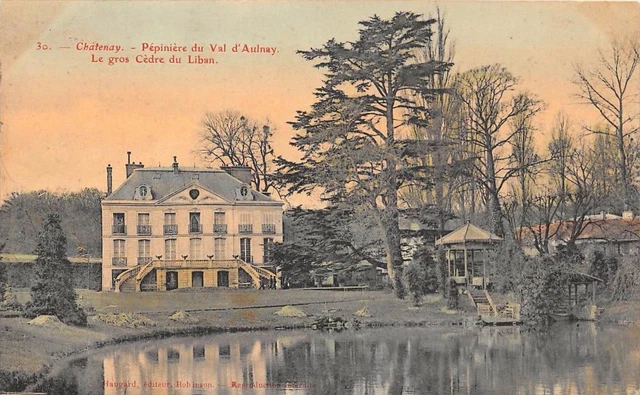 Cpa 92 Chatenay Pepiniere Du Val D'aulnay Le Gros Cedre Du Le Le Le Lebanan