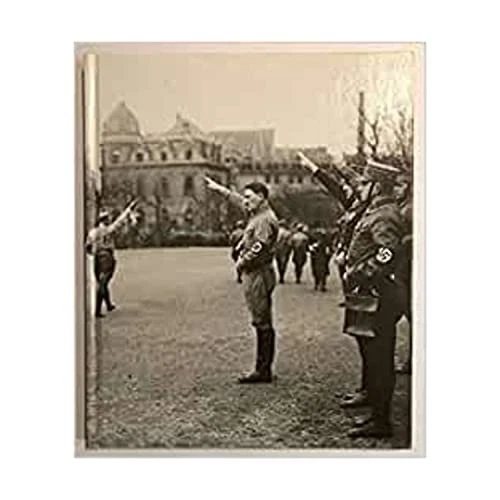 THE NAZIS (WORLD War II S.) - Herzstein, Robert Edwin £12.30 - PicClick UK