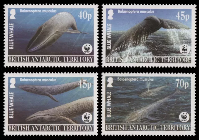 BAT / Brit. Antarktis 2003 - Mi-Nr. 353-356 ** - MNH - Wale / Whales