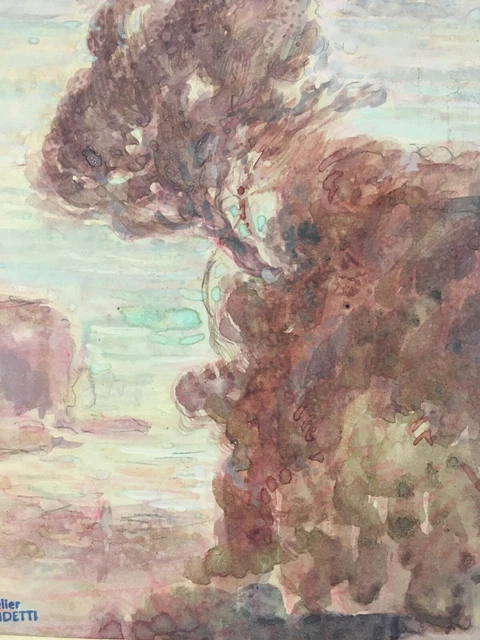 TABLEAU PASTEL AQUARELLE signé g de s. m l oiseau sur une branche EUR
