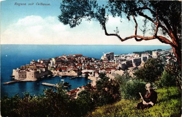 CPA AK CROATIA DUBROVNIK - RAGUSA mit Oelbaum (570451)